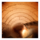 Illustration for article titled 31 Irresistible Cups Of Coffee